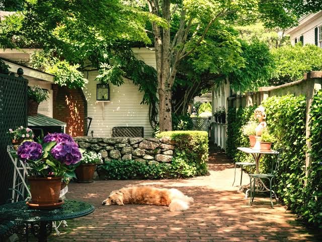 The Charlotte Inn photo 3