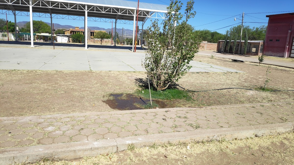 La Colonia Park