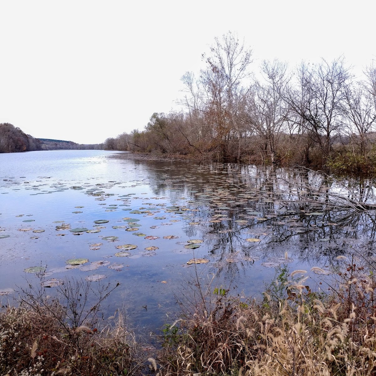 Cross Creeks National Wildlife Refuge