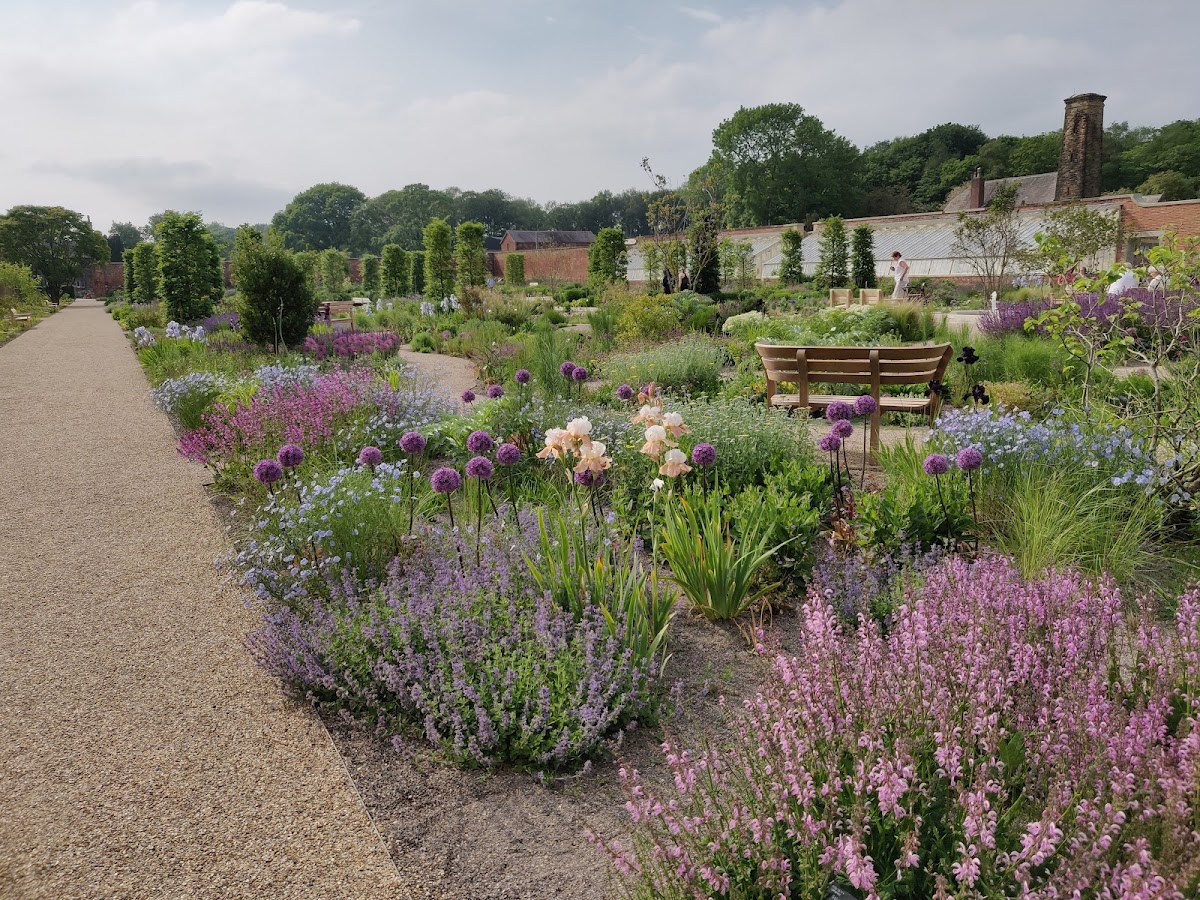 RHS Garden Bridgewater