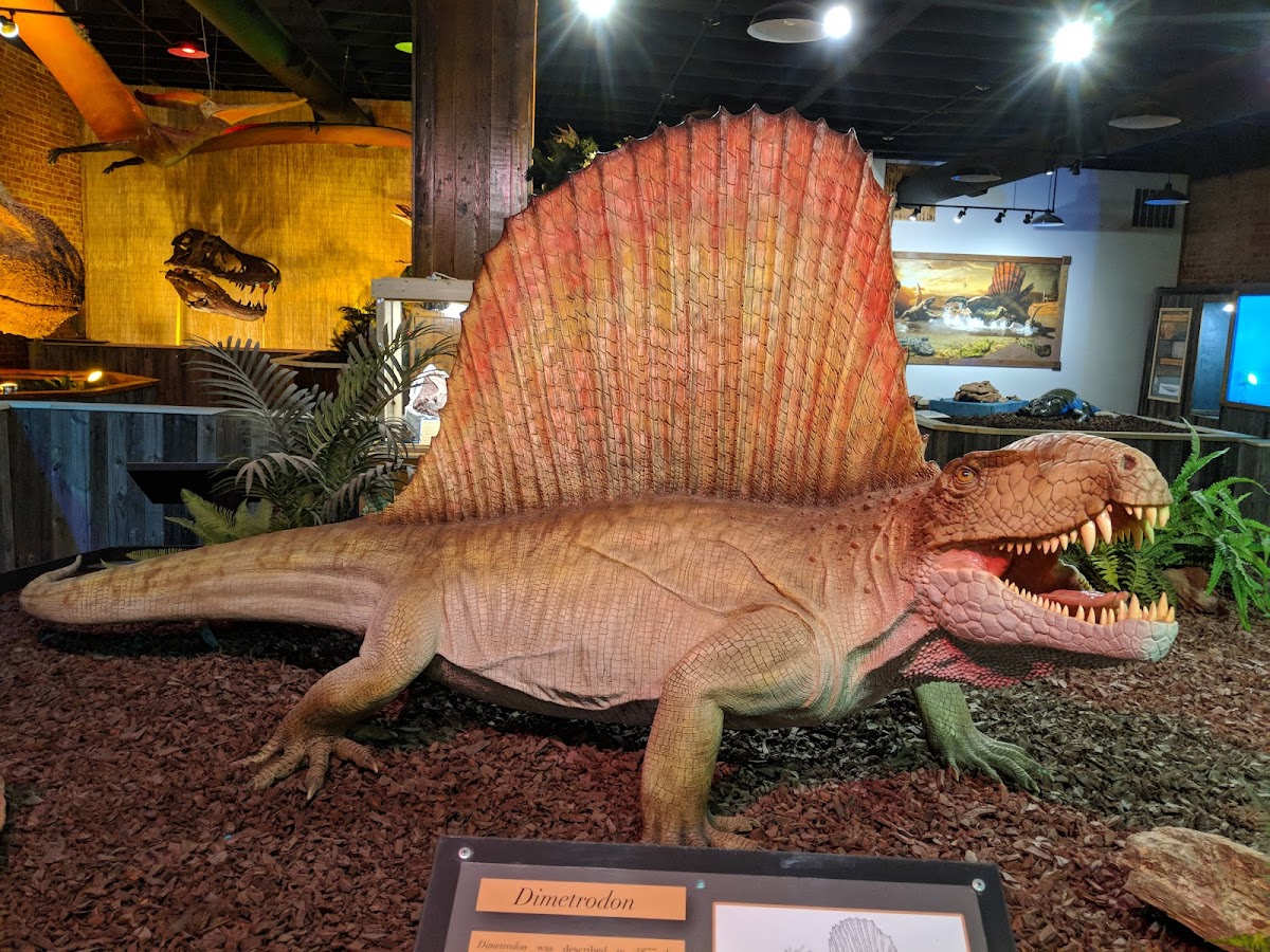 The Whiteside Museum of Natural History