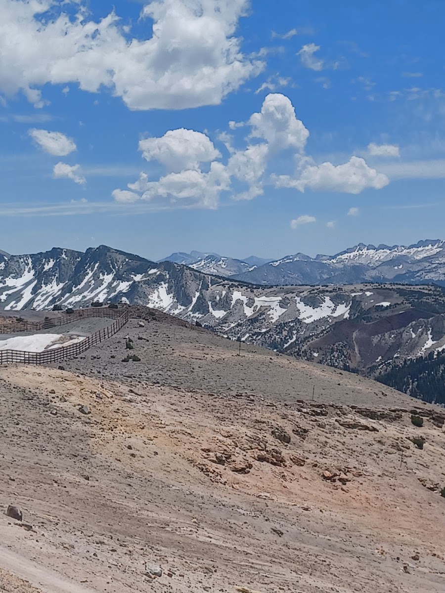 Mammoth Mountain Ski Area photo 3