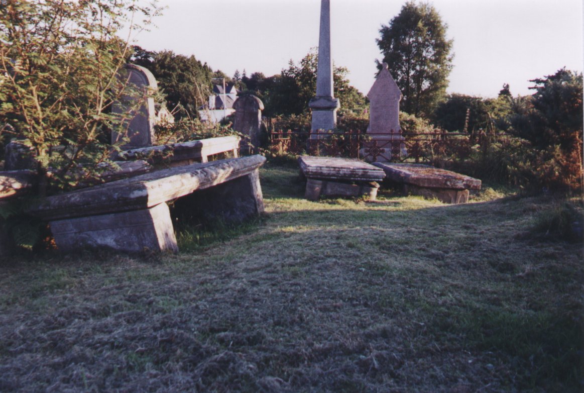 Craig Nevis photo 3