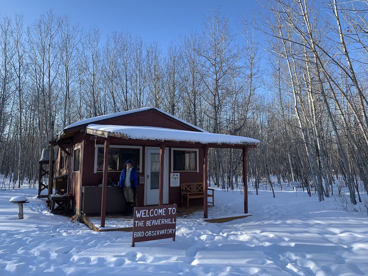 Beaverhill Bird Observatory