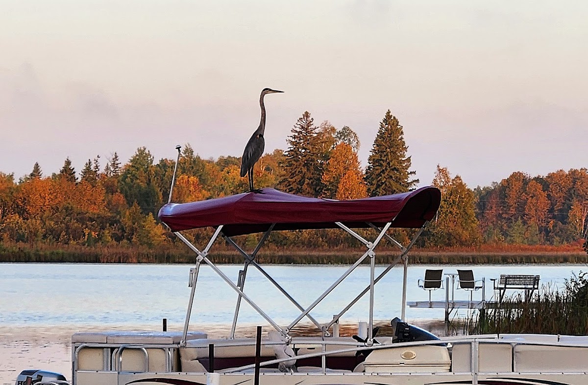 Spider Lake Resort