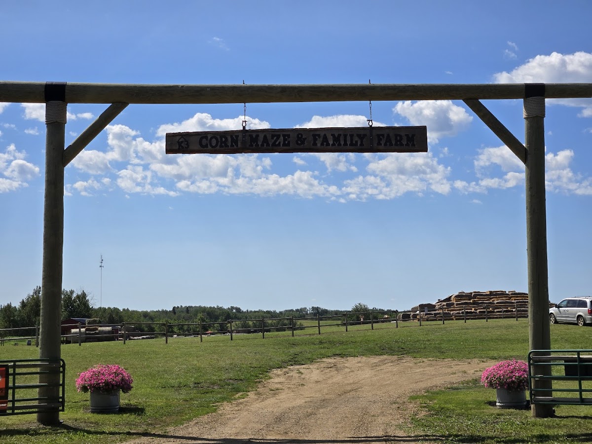 K3 Corn Maze & Family Farm