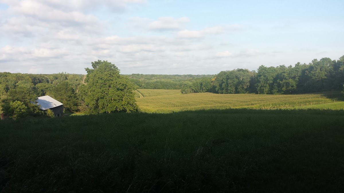 Otter River Farms photo 3
