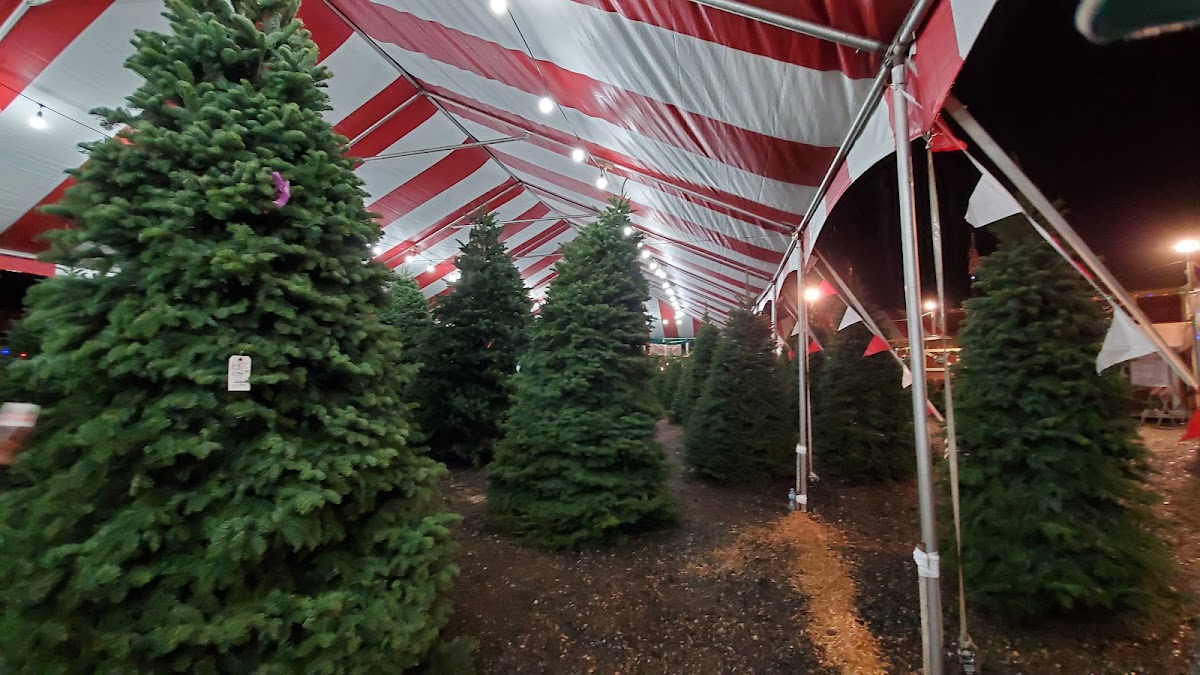 Santa’s Garden