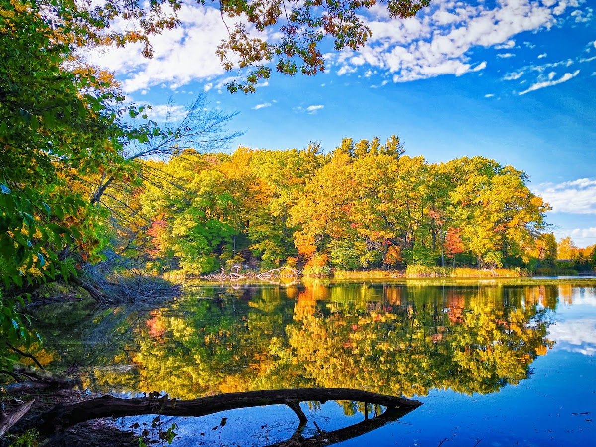 Durand Eastman Park