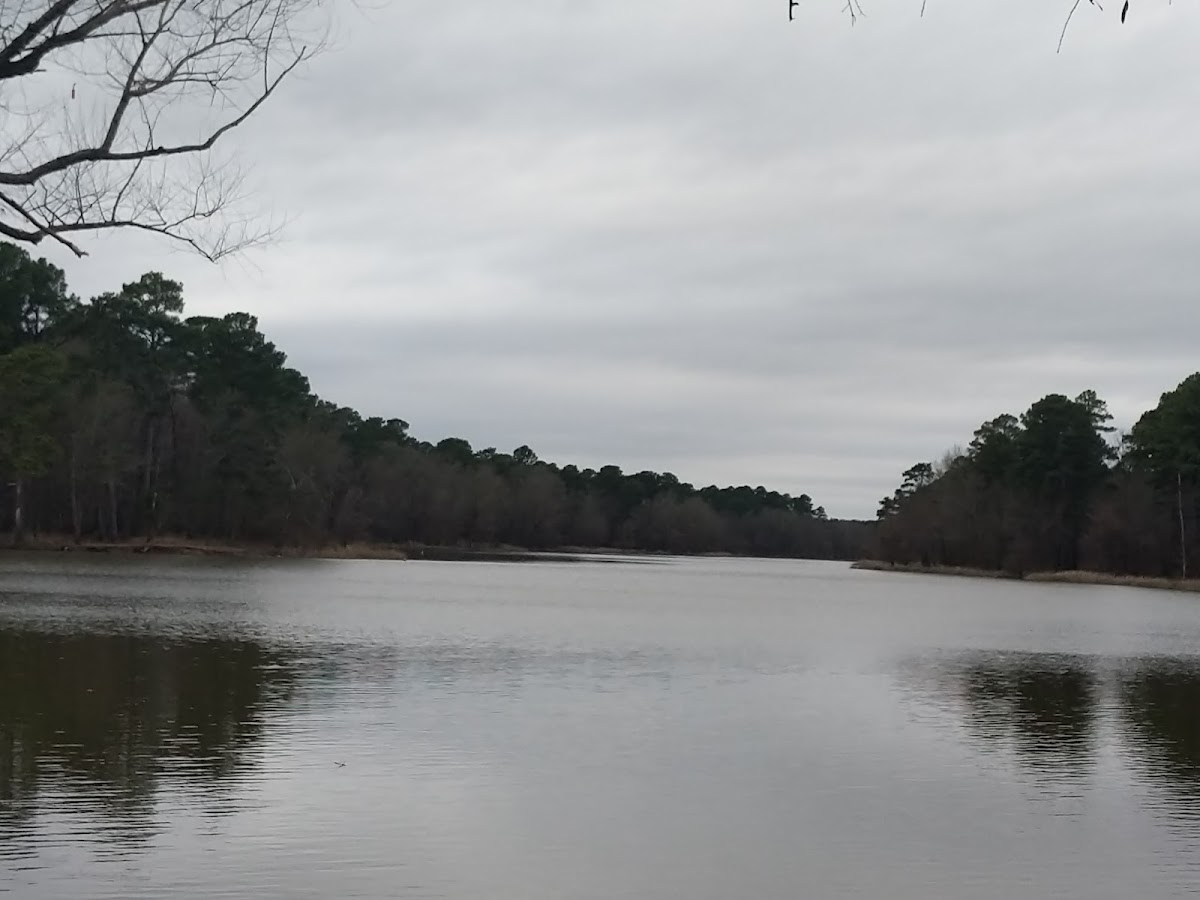 Millwood State Park