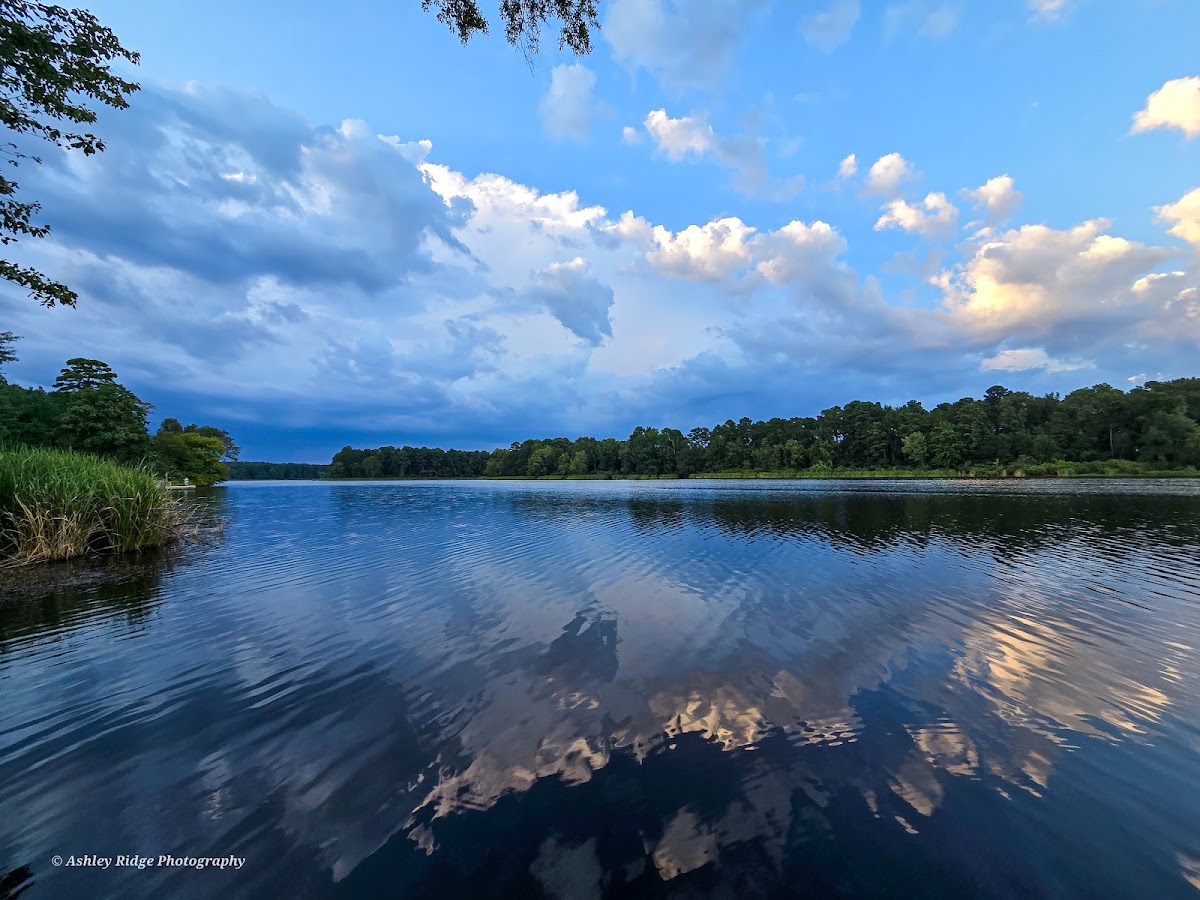 Bringle Lake