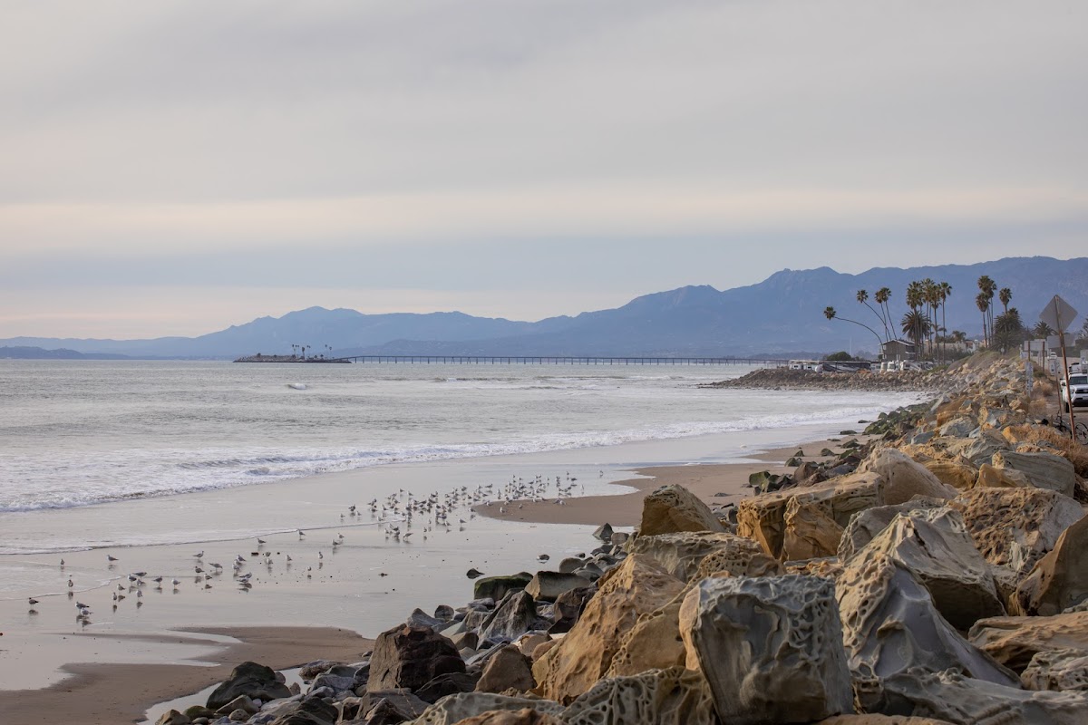 Rincon Beach