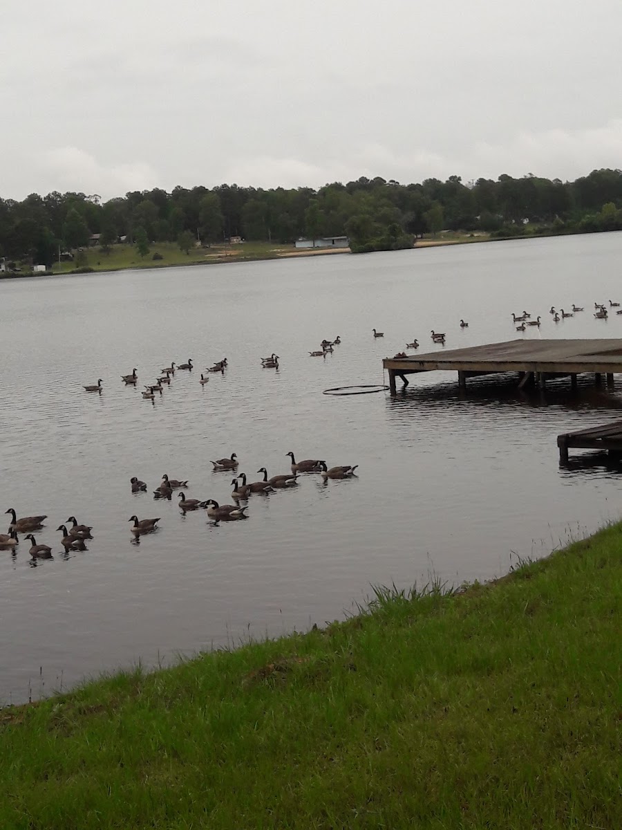 Lake Tchukolaho