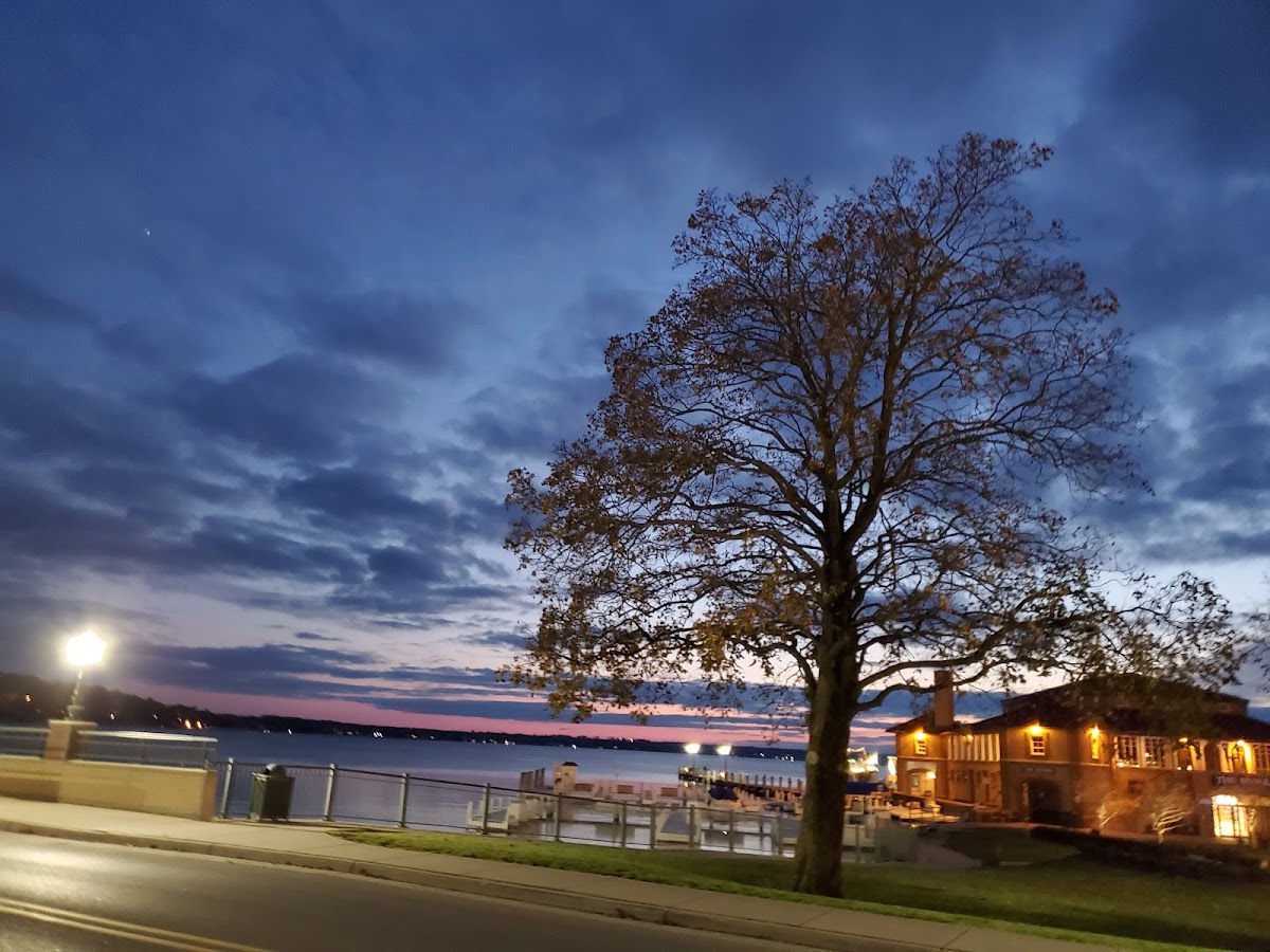 The Cove of Lake Geneva photo 3