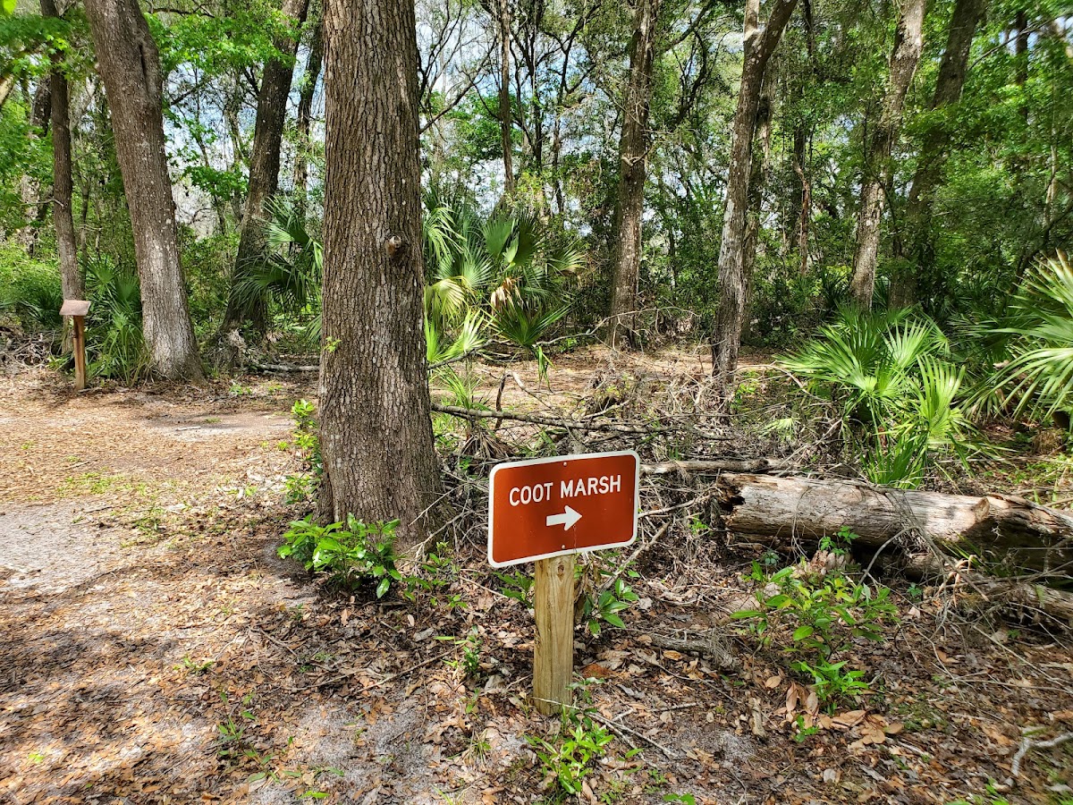 Fort Cooper State Park