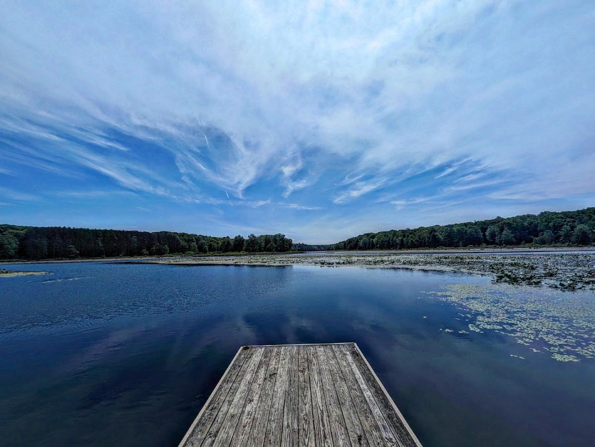 Black Moshannon