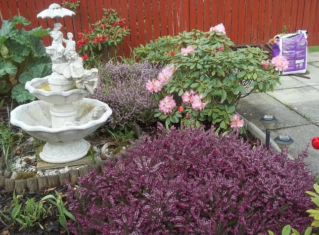 Glenfern Guest House photo 3