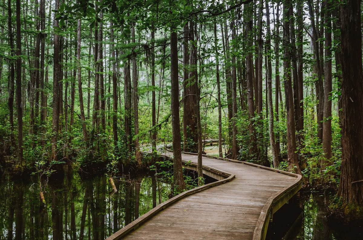 Woods Bay State Park