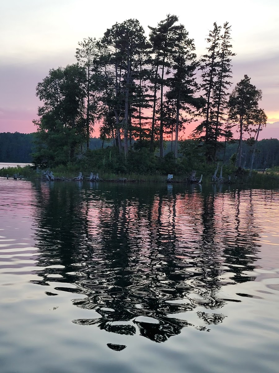 Bad Medicine Resort photo 2