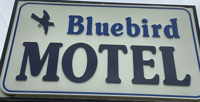 Blue Bird Motel photo 2