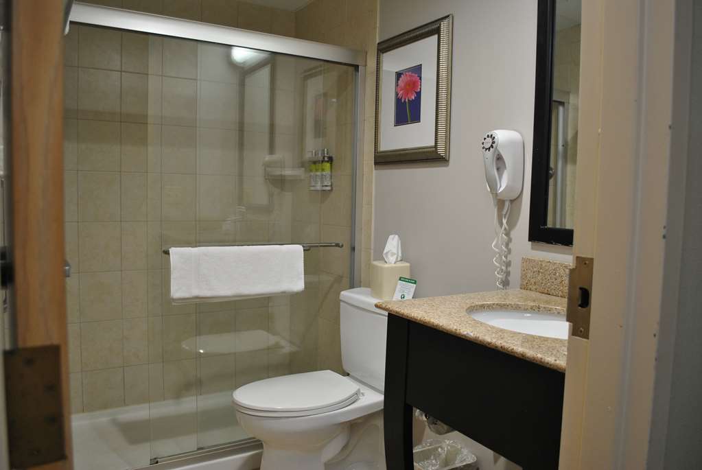 Best Western Owego Inn photo 3