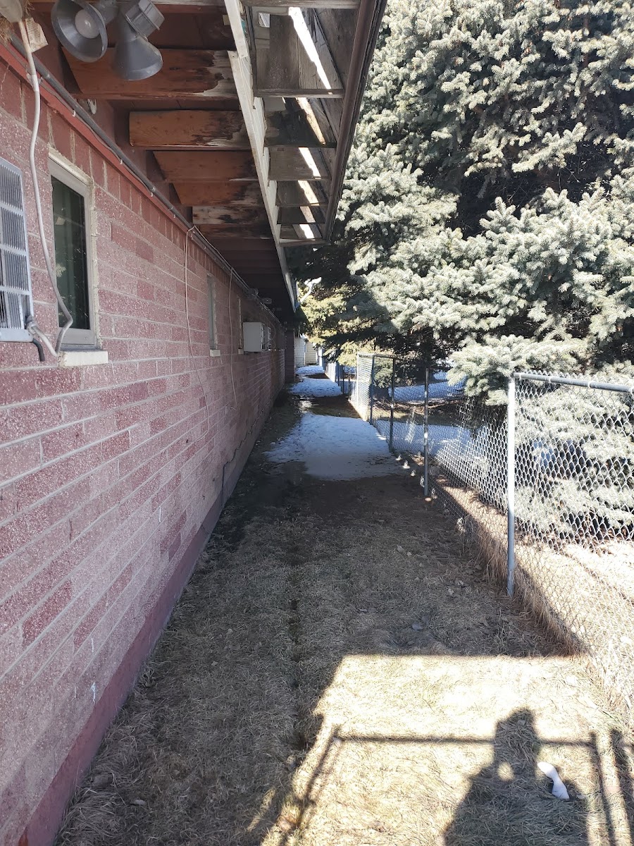 Rodeway Inn Buffalo photo 3