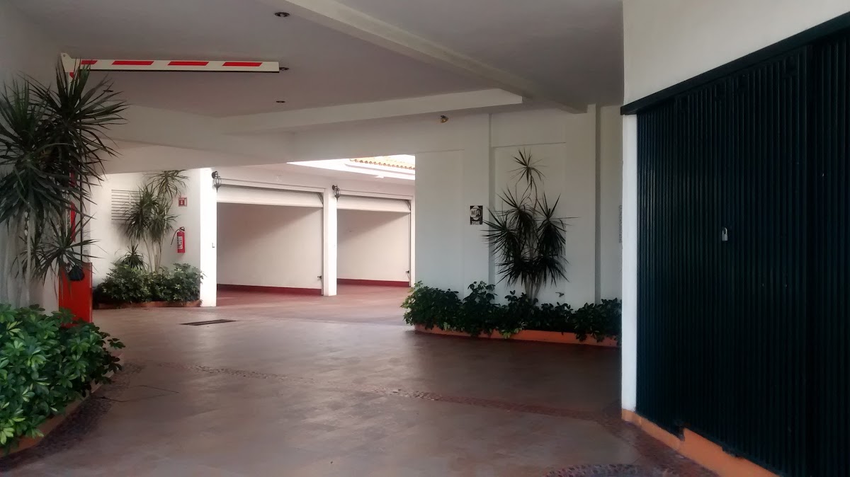 Hotel El Bosque photo 3