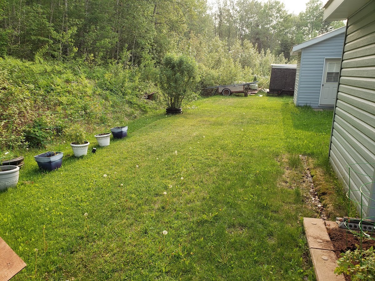 Cheminis Lodge photo 3