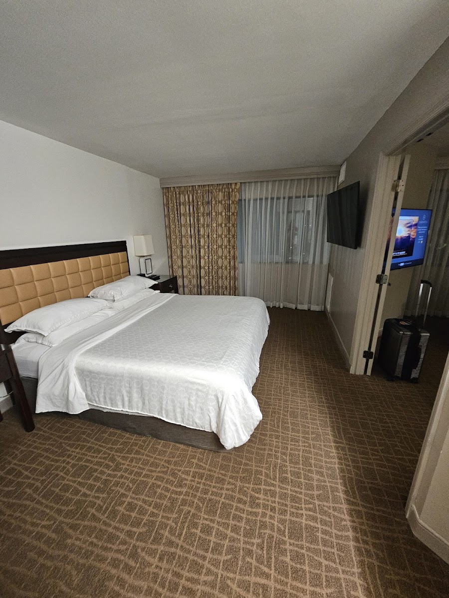 Sheraton Suites Orlando Airport photo 3