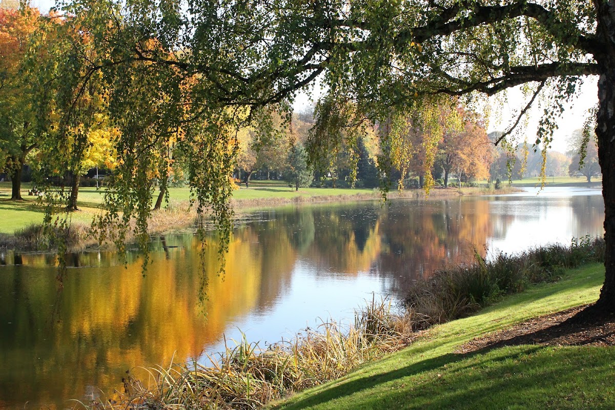 Lake Sacajawea