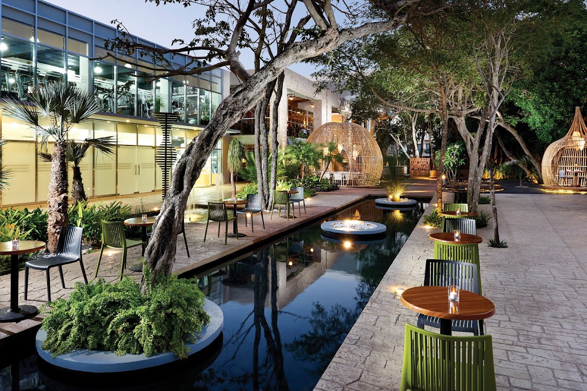 The Fives Beach Hotel & Residences photo 3