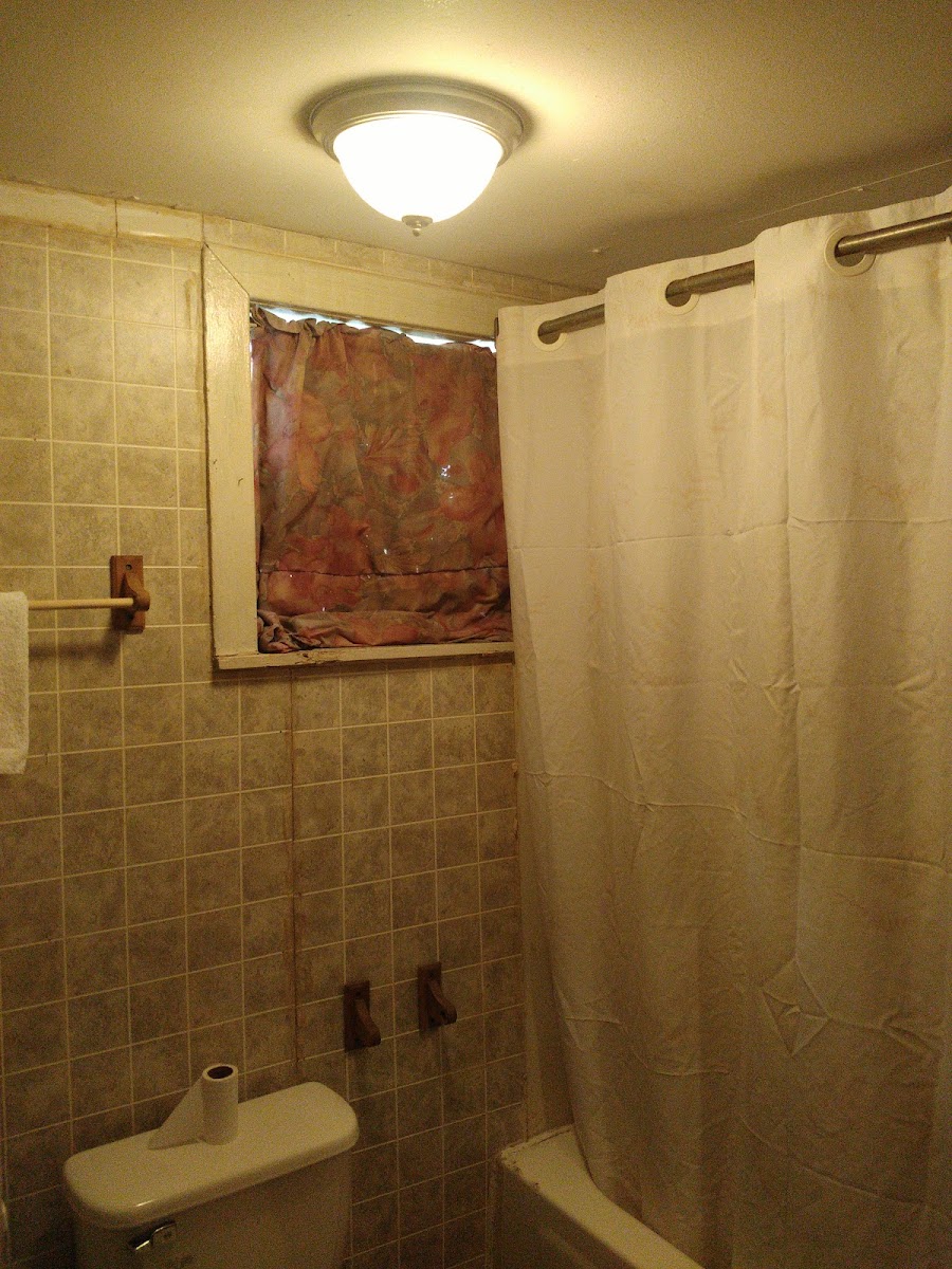 Room 1