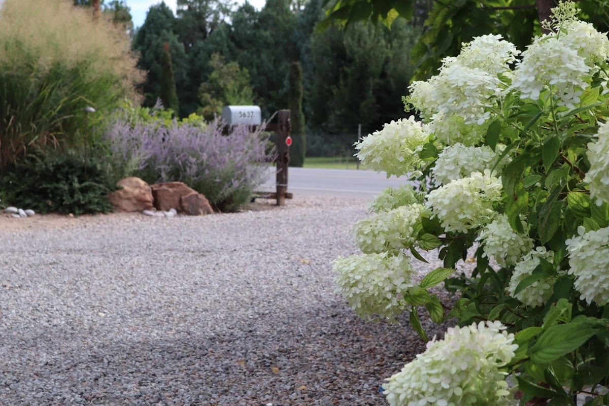 Sarabande B&B photo 3