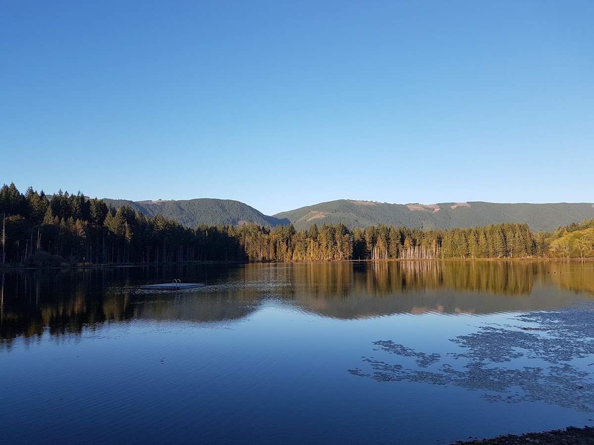 Beaver Lake Resort photo 3