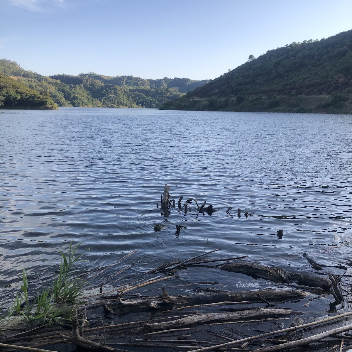 Lago di Tarsia
