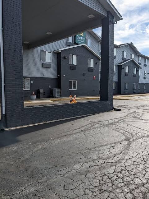Quality Inn & Suites Delaware South photo 3