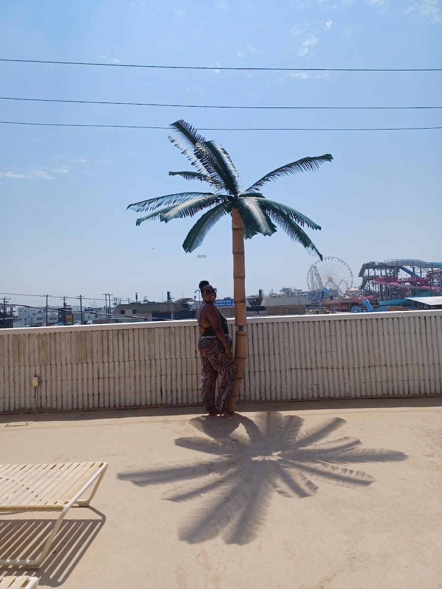Beach Terrace Motor Inn photo 3