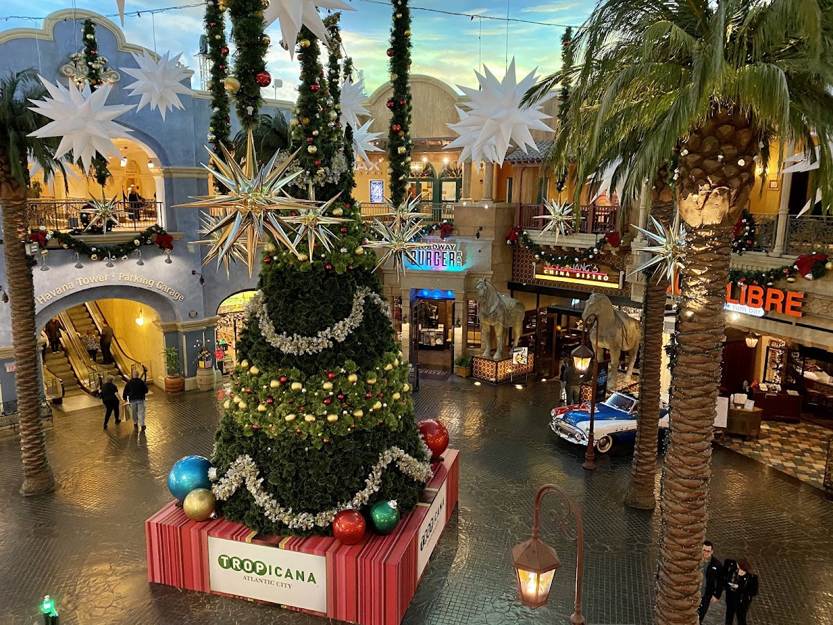 Tropicana photo 3