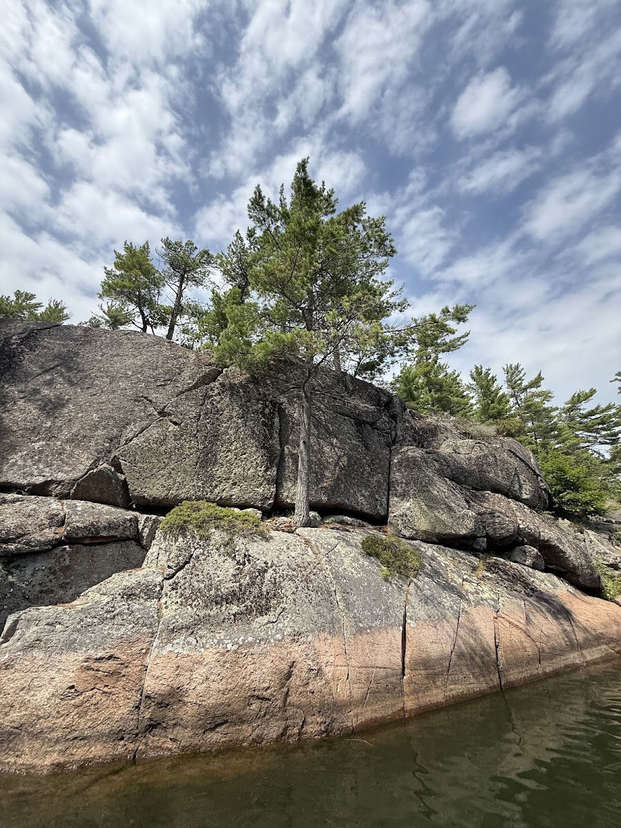 Rock Pine Resort Cottages Ltd photo 3