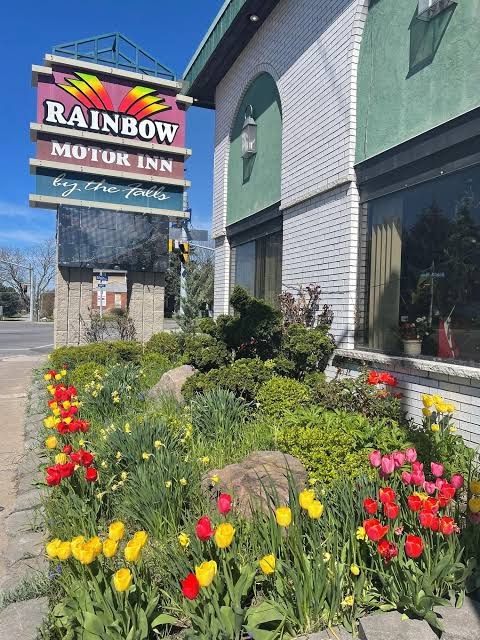 Rainbow Motor Inn photo 3
