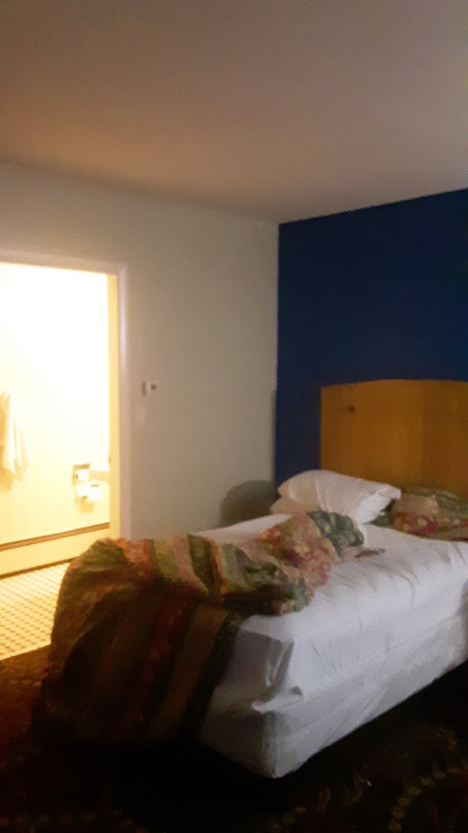 Lighthouse Inn photo 2