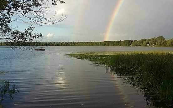 Pike Lake Resort photo 3