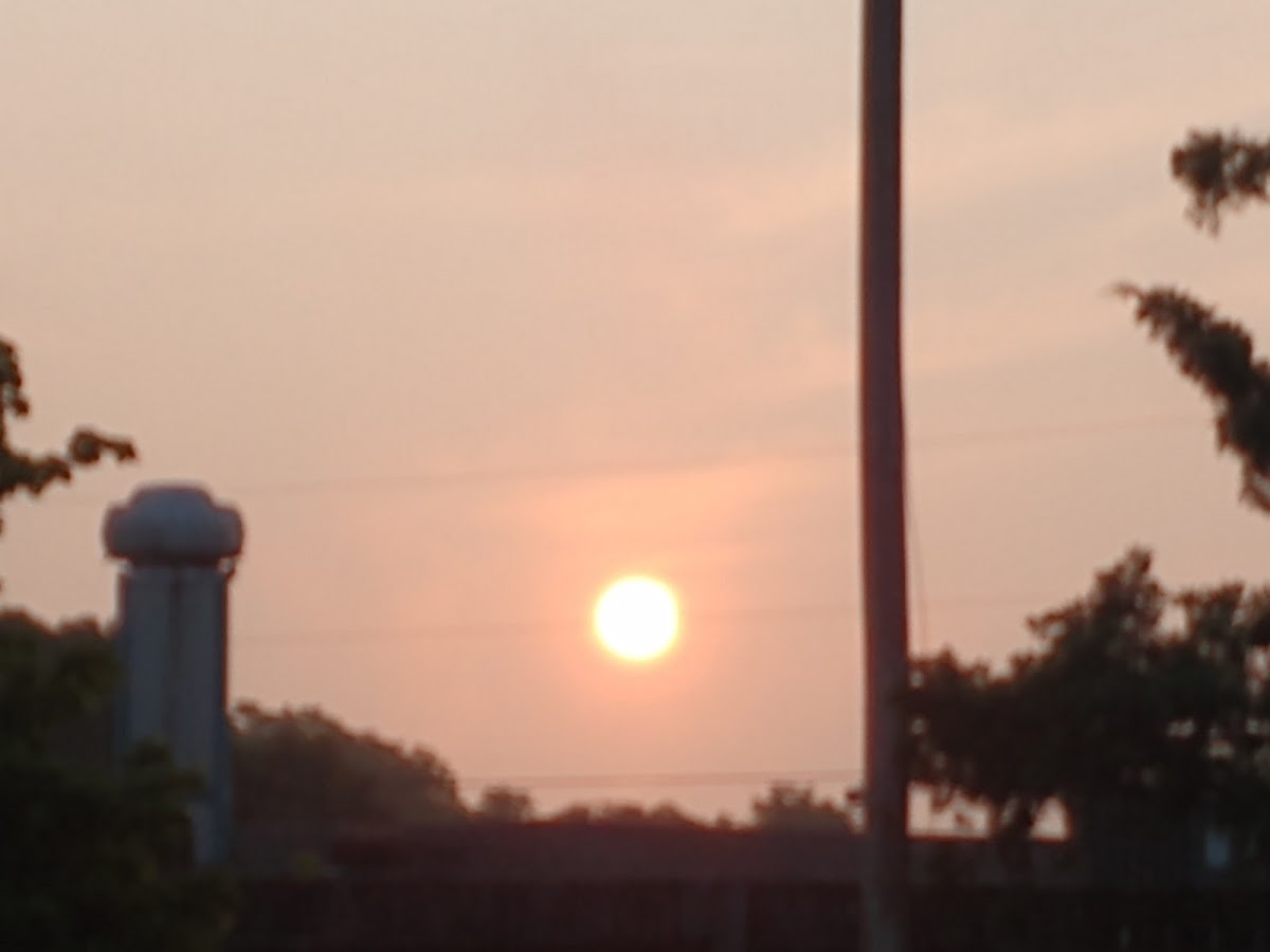 Mineola Motel photo 3