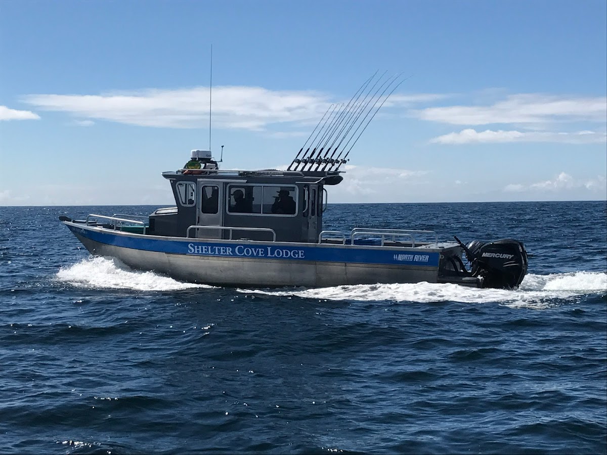 Shelter Cove Alaska Fishing Lodge photo 2