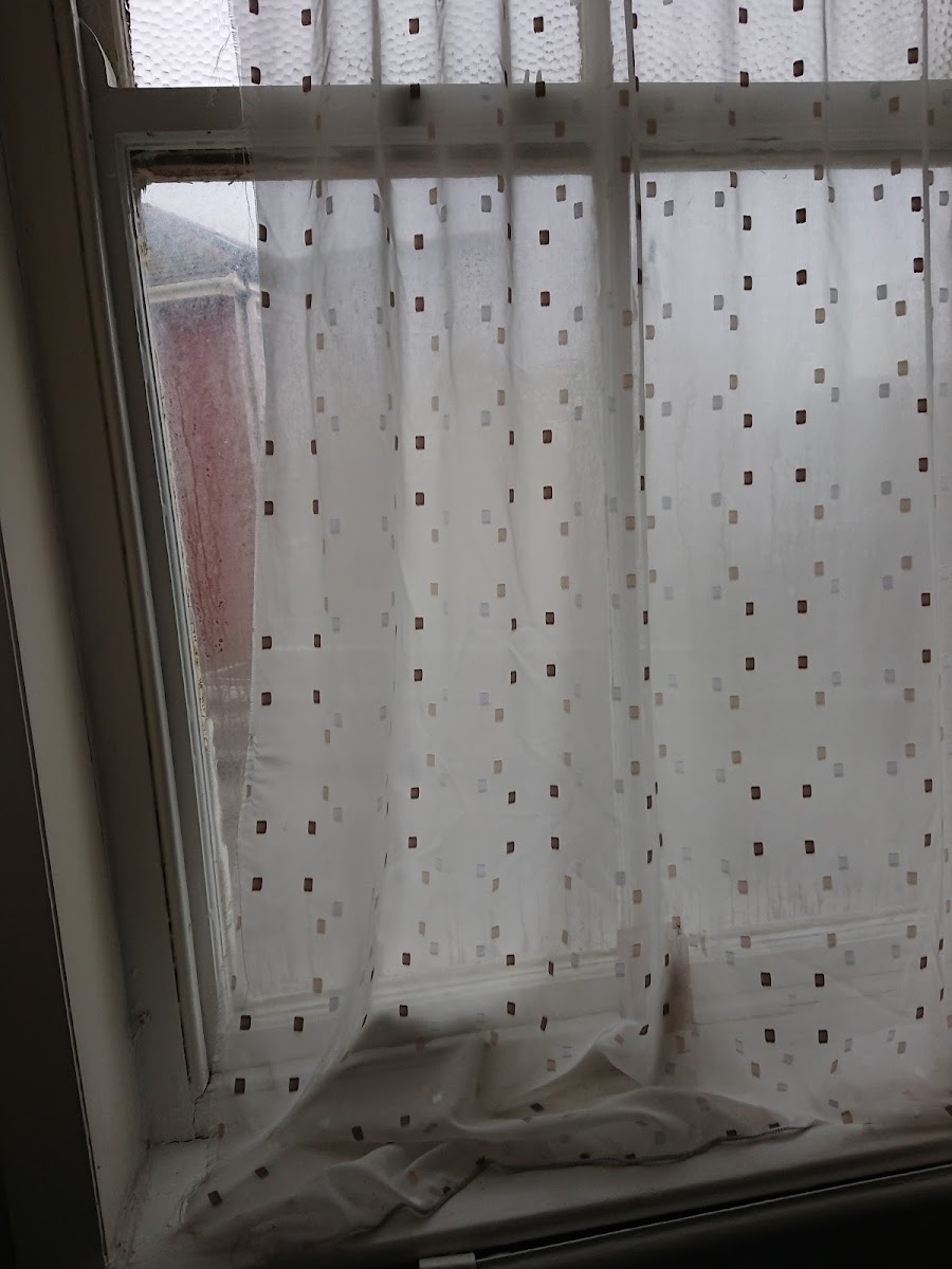 Sinatras Hotel photo 3