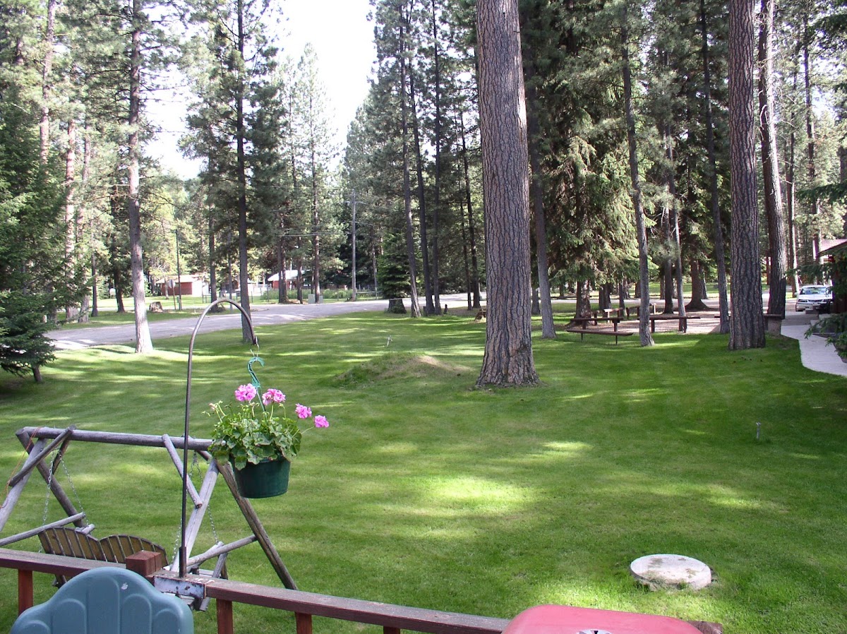 Leeper's Motel photo 3