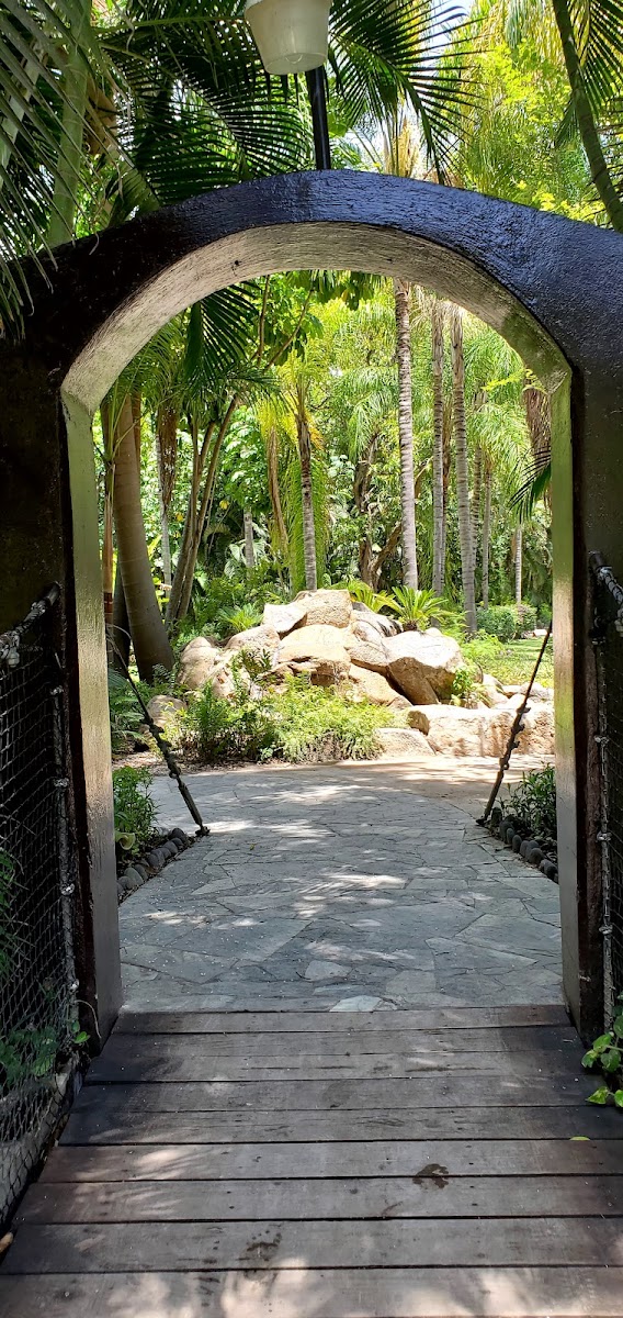 Las Estacas Glamping photo 3