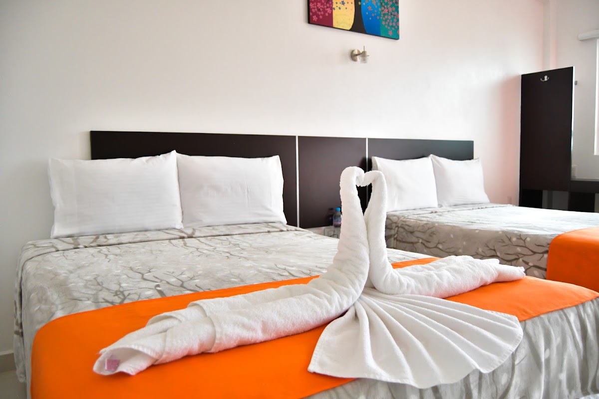 HOTEL LOS PINOS EXPRESS photo 2