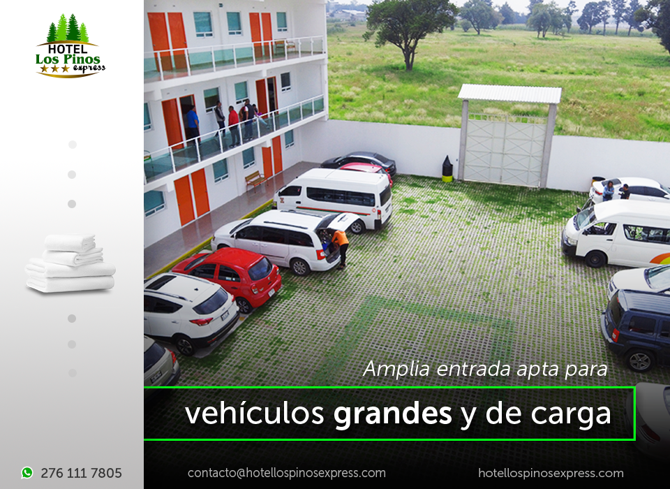 HOTEL LOS PINOS EXPRESS photo 3