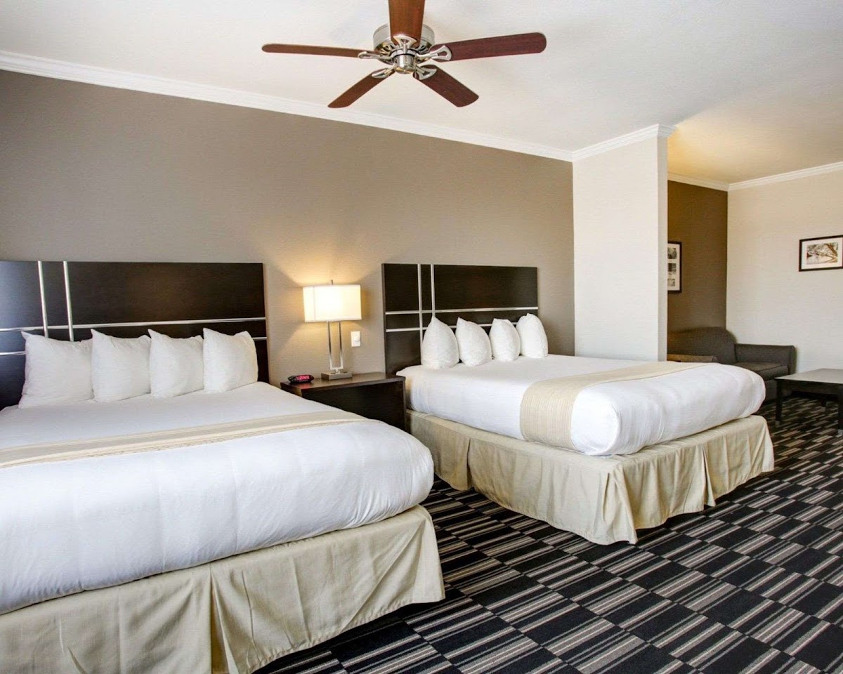 Quality Inn & Suites Bryan-College Station photo 2